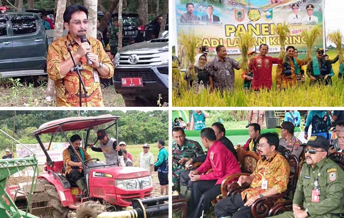 Tanam Musim Kemarau, Dirjen PSP Panen Padi Gogo di Tanah Laut Kalsel